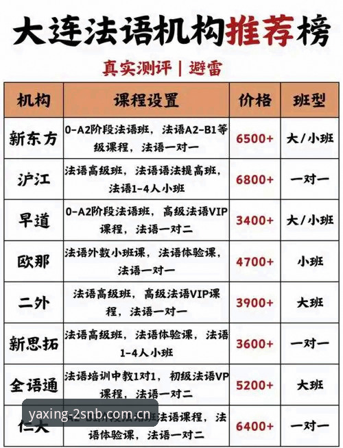 亚星2SNB苹果iOS下载教程 vs 安卓创见版安装：避坑指南与效率对比