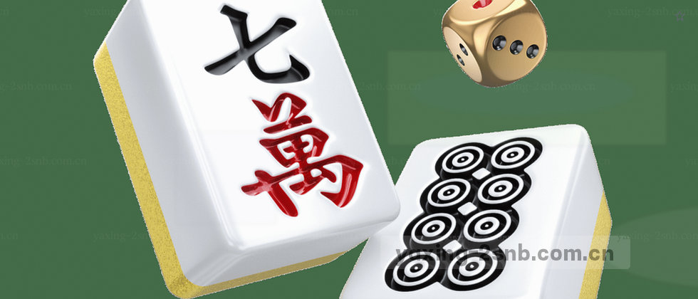 用户权益与数据隐私说明